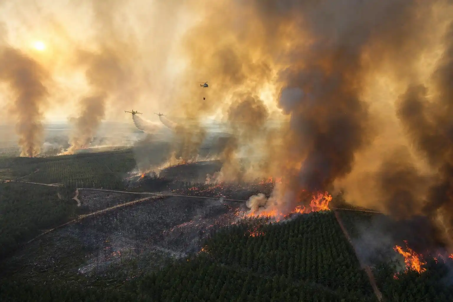 Wildfires tore through southwestern France and central Spain in the summer of 2026 after months of drought and successive heatwaves.