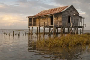 Should I Actually Cancel My Beach Vacation House Plans? A Reader’s Guide to Sea Level Timelines